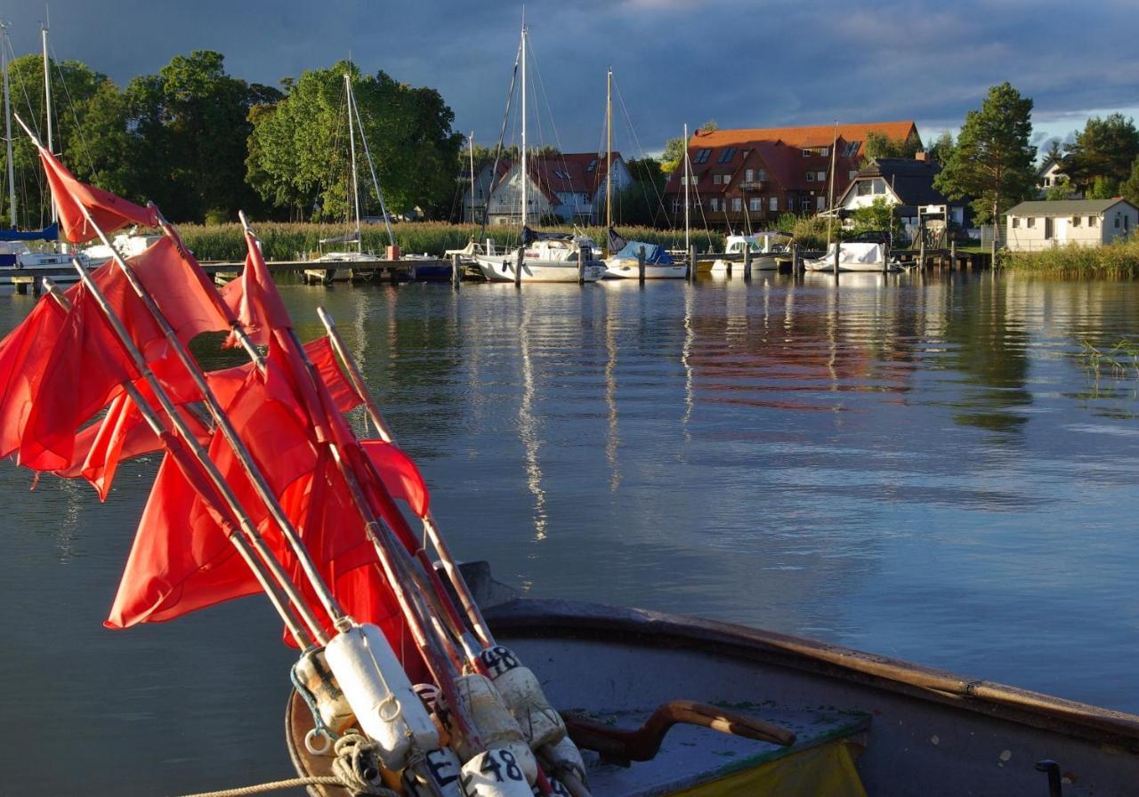 Haus Carmen Auf Usedom Nr.6 Lejlighed Ziemitz Eksteriør billede